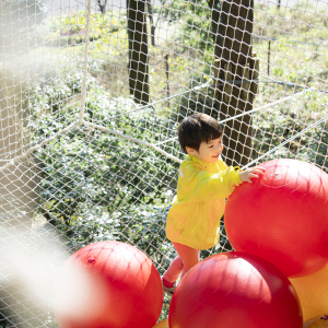 [규슈] 조이 패스