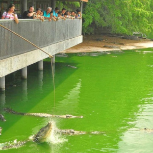 (한국어가이드) 파타야 시티 체크아웃 단독 투어 & 공항 샌딩