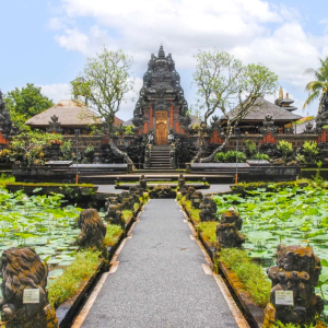 (한국어가이드) 발리 우붓 단독 투어 & 공항 샌딩