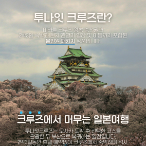 [크루즈]5성급호화  온천 투나잇크루즈