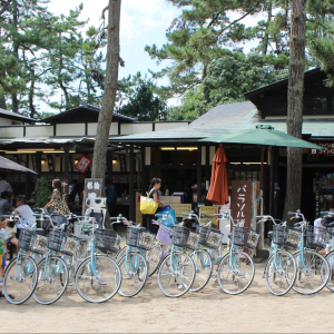 [오사카] 이네후나야 아라시야마 1일 버스투어