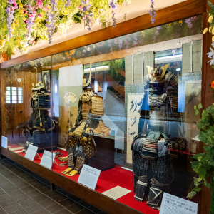 [규슈] 조이 패스