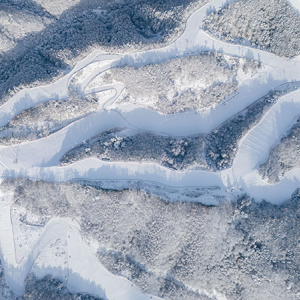 엘리시안 강촌 동계시즌 강습권 상시