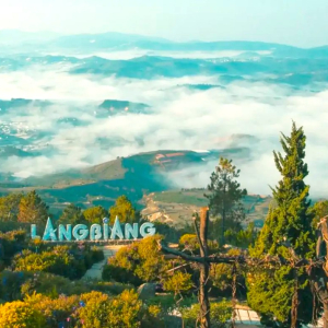 (한국어가이드) 달랏 일일 단독 투어 / 나트랑 출발