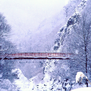 [북해도] 삿포로 출발 북해도 비에이 후라노 1일 버스투어