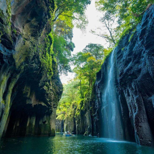 [한국어가이드] 후쿠오카 출발: 구마모토 & 미야자키 일일 버스 투어