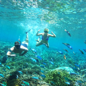 (한국어가이드) 발리 누사페니다 섬 스노클링 투어