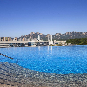 아쿠아필드 고양 루프탑풀 입장권(12/31~1/31)