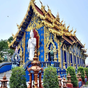 (한국어가이드) 치앙라이 화이트템플 + 블루템플 + 카페 + 싱하파크 단독 투어 / 치앙마이 출발