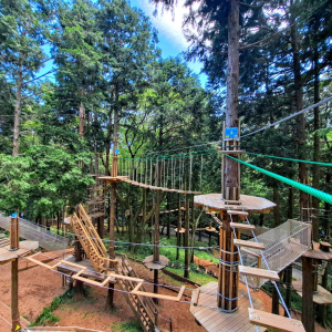 [가나가와] 포레스트 어드벤처 하코네 캐노피 코스