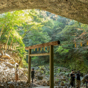 [한국어가이드] 후쿠오카 출발: 구마모토 & 미야자키 일일 버스 투어
