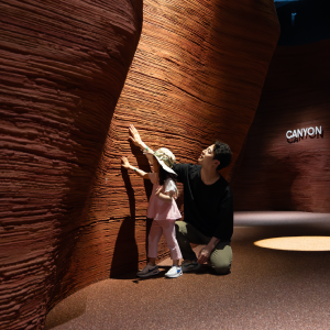 [12월] 네이처스케이프 플러스 입장권