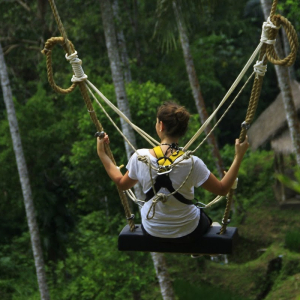발리 알라스 하룸 (Alas Harum)  뜨갈랄랑 우붓 스윙 티켓