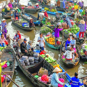 (한국어가이드) 메콩강 단독 투어 / 호치민 출발