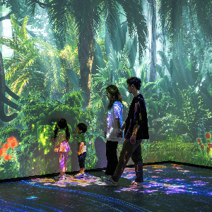 [11월] 네이처스케이프 플러스 AFTER4 모험권