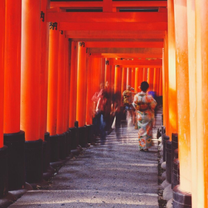 [한국어가이드] 교토 핵심 명소 일일 버스 투어