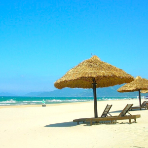 (한국어가이드) 후에 왕궁 + 사원 단독 투어 / 다낭 출발