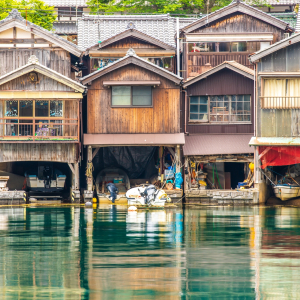 [오사카] 이네후나야 아라시야마 1일 버스투어