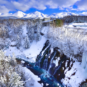 [북해도] 삿포로 출발 북해도 비에이 후라노 1일 버스투어