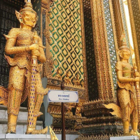리버 보트 왕궁 에메랄드 사원 새벽 사원 반일 투어