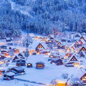  [나고야]나고야 출발 중부 타카야마 시라카와고 1일 버스투어 최소 4명 출확, 한국인 가이드