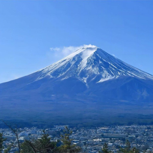 (한국어 가이드) 후지산 핵심 일일 버스 투어 A코스