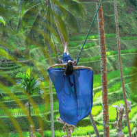 발리 알라스 하룸 (Alas Harum)  뜨갈랄랑 우붓 스윙 티켓