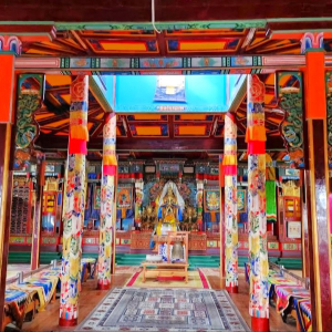 (한국어가이드) 몽골 테를지 국립공원 단독 투어