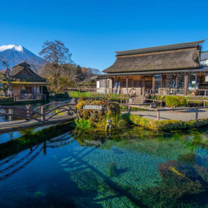 [도쿄] 후지산 하코네 및 미술관 코스