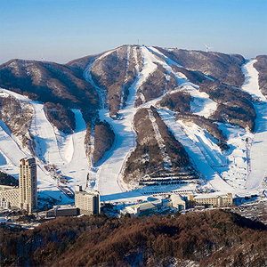 25/26 평창 휘닉스파크 스키 리프트권