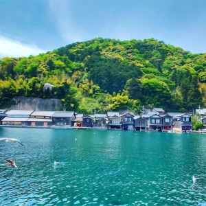 (한국어 가이드) 교토 아마노하시다테 이네후나야 일일 버스 투어