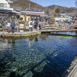 [도쿄] 후지산 하코네 및 미술관 코스