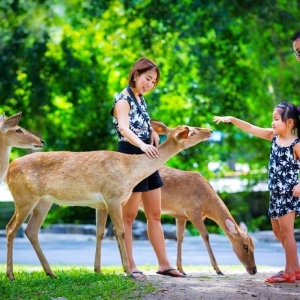 (한국어가이드) 카오키여우 오픈 주 단독 투어 / 방콕 왕복