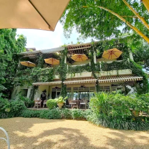 (한국어가이드) 치앙라이 화이트템플 + 블루템플 + 카페 + 싱하파크 단독 투어 / 치앙마이 출발