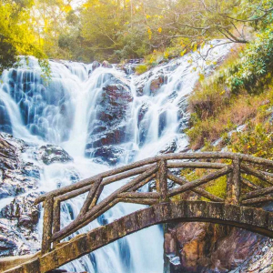 (한국어가이드) 달랏 일일 단독 투어 / 나트랑 출발