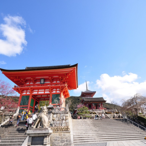 [교토] 나라 교토 1일 버스투어 한국인 가이드