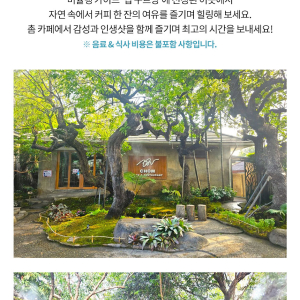 치앙마이 반캉왓 + 촘카페 + 도이수텝 반일 단독 투어 / 한국어 가이드 선택 가능