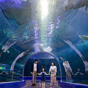 아쿠아플라넷 여수 입장권 (12/01~12/31)
