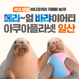 [일산] 아쿠아플라넷 입장권(11/1~11/30)