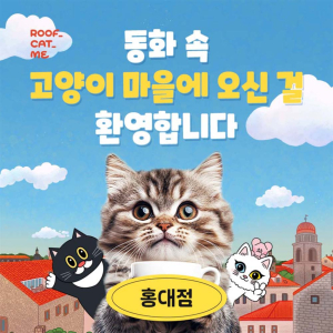  [서울] 루프캣미 실내 고양이카페 홍대점