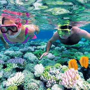 (한국어가이드) 나트랑 스노클링 일일 단독 투어