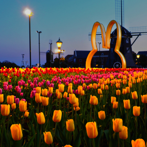 [후쿠오카] 하우스텐보스 다이렉트 입장권 