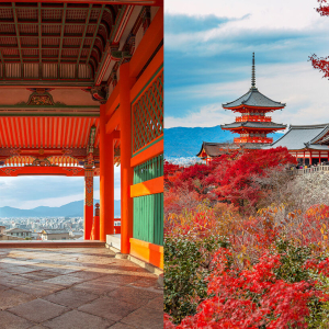 [한국어가이드] 교토 핵심 명소 일일 버스 투어