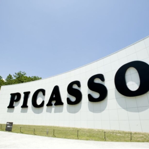 [도쿄] 후지산 하코네 및 미술관 코스