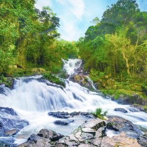 (한국어가이드) 달랏 일일 단독 투어 / 나트랑 출발