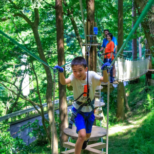 [가나가와] 포레스트 어드벤처 하코네 캐노피 코스