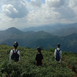 [치앙마이] 하이킹&라이딩 콤보 투어