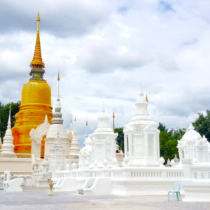 (한국어가이드) 치앙마이 도이수텝 & 왓수안독 & 로얄파크라차프륵 사원 단독 투어