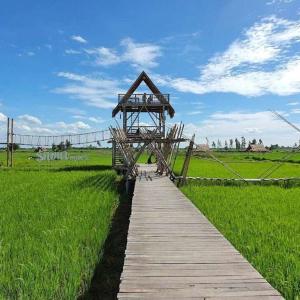 (한국어가이드) 아유타야 실속 단독 투어