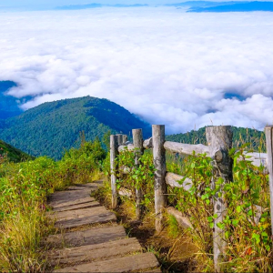 (한국어가이드) 치앙마이 도이인타논 국립공원 트레킹 단독 투어